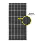 FS-Panels-P-Type-Bifacial